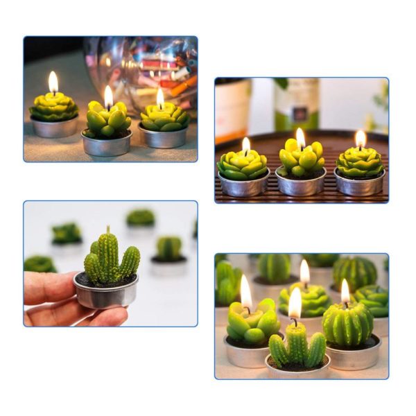 succulent candle centerpiece,succulent candles wholesale,succulent cactus candles,scented succulent candles,where to buy succulent candles
