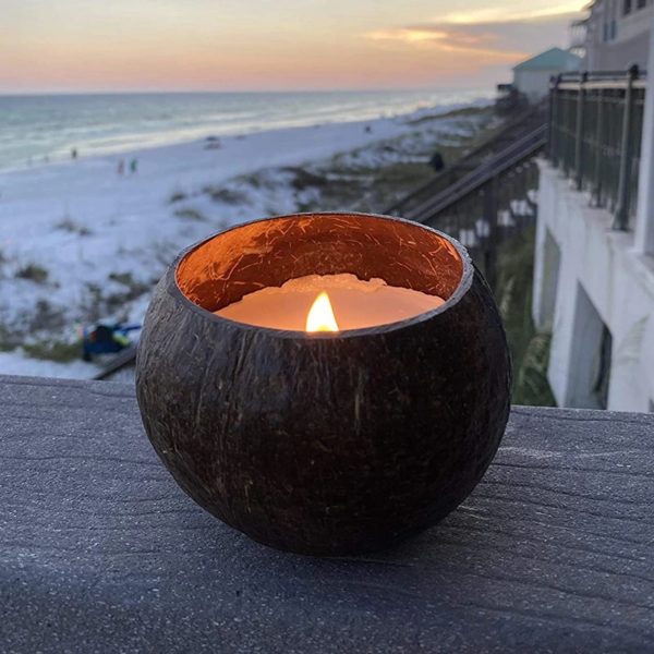 Pragmism Coconut Shell Candles